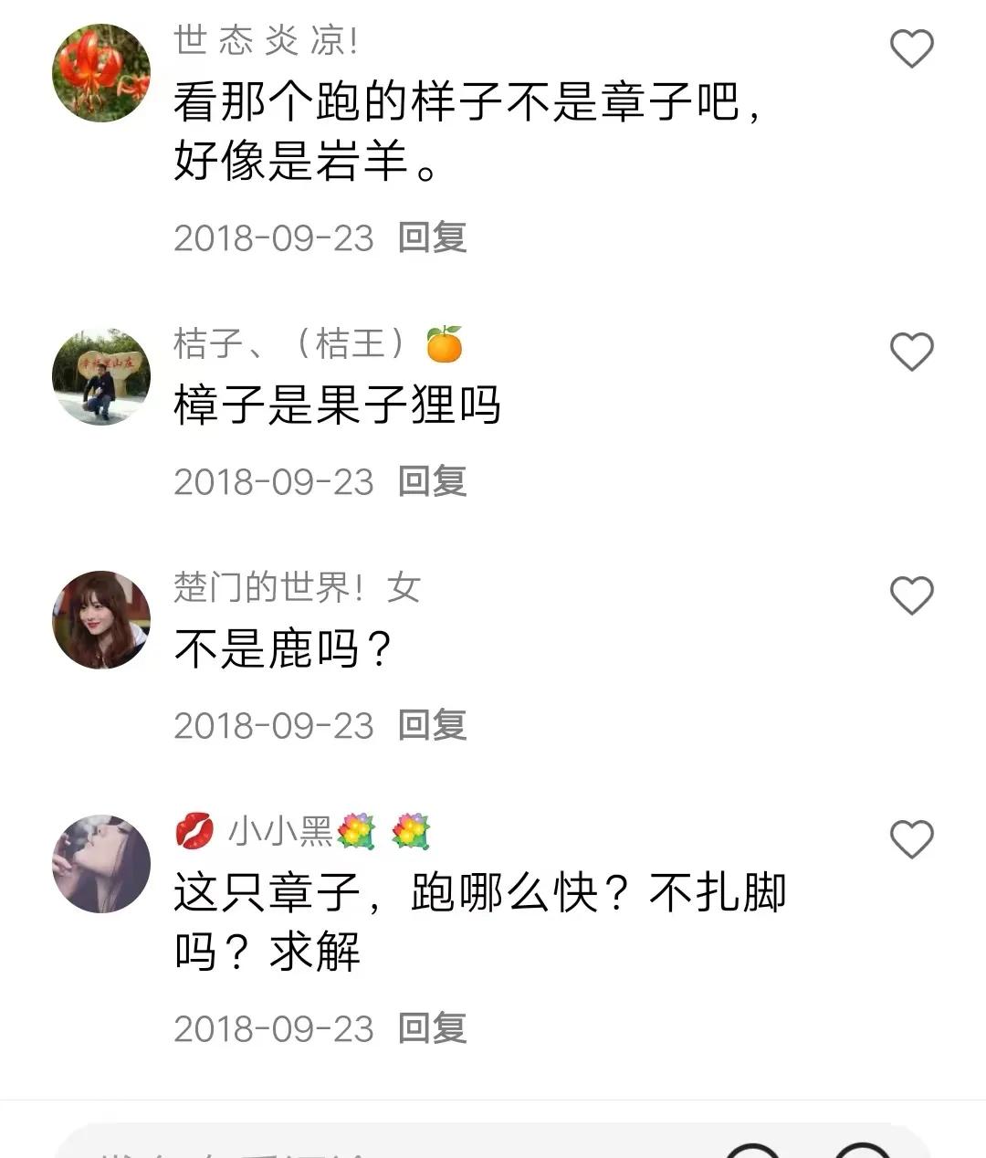 冒险王拍摄西藏隐秘隧道,西藏冒险王隐藏视频