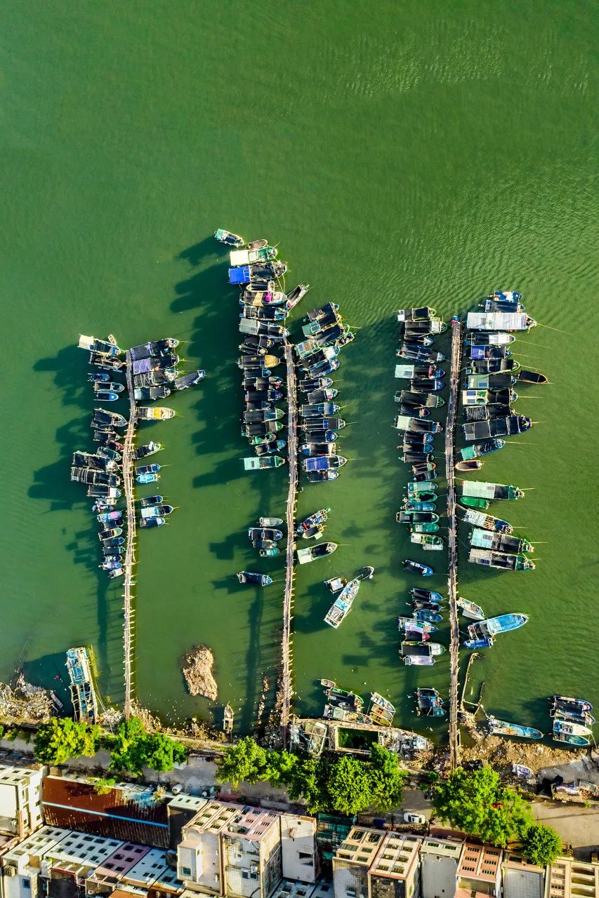 美食之都潮汕,广东茂名的特色美食水果