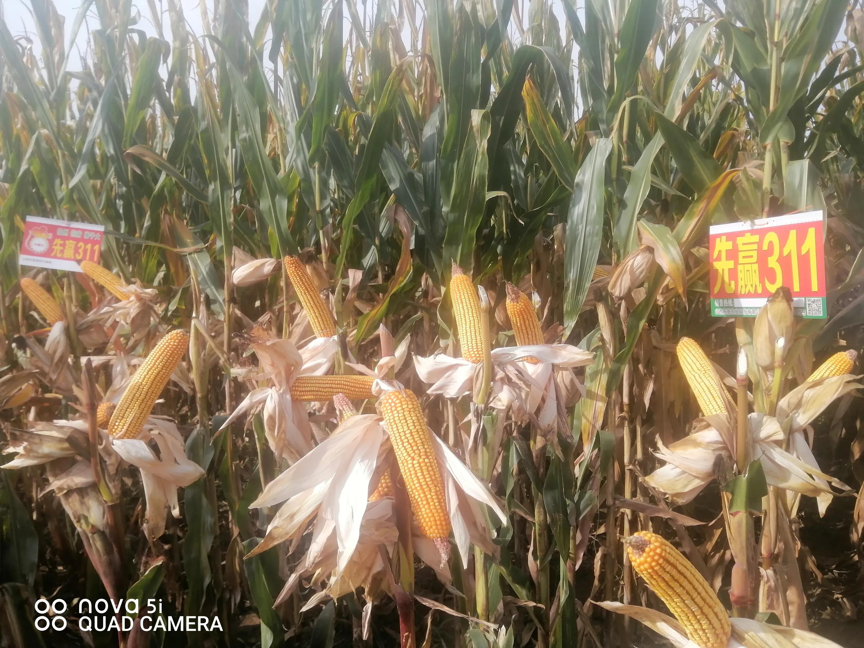 浣犵煡閬撶殑杞熀鍥犱綔鐗╂湁鍝簺,鏈夊摢浜涜浆鍩哄洜浣滅墿杩樻湭鐮旂┒