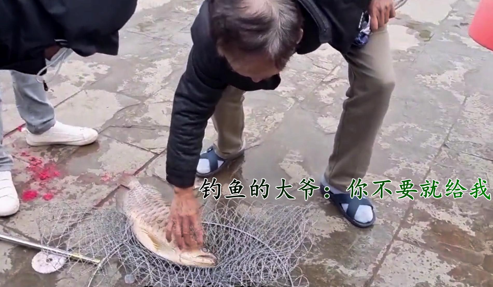 渔民钓到5斤多大黄鱼,广西一男子钓获野生金龙鱼