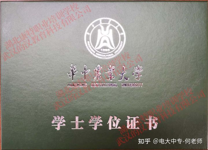 成人学位英语考试难度,河北成人自考学位英语难度