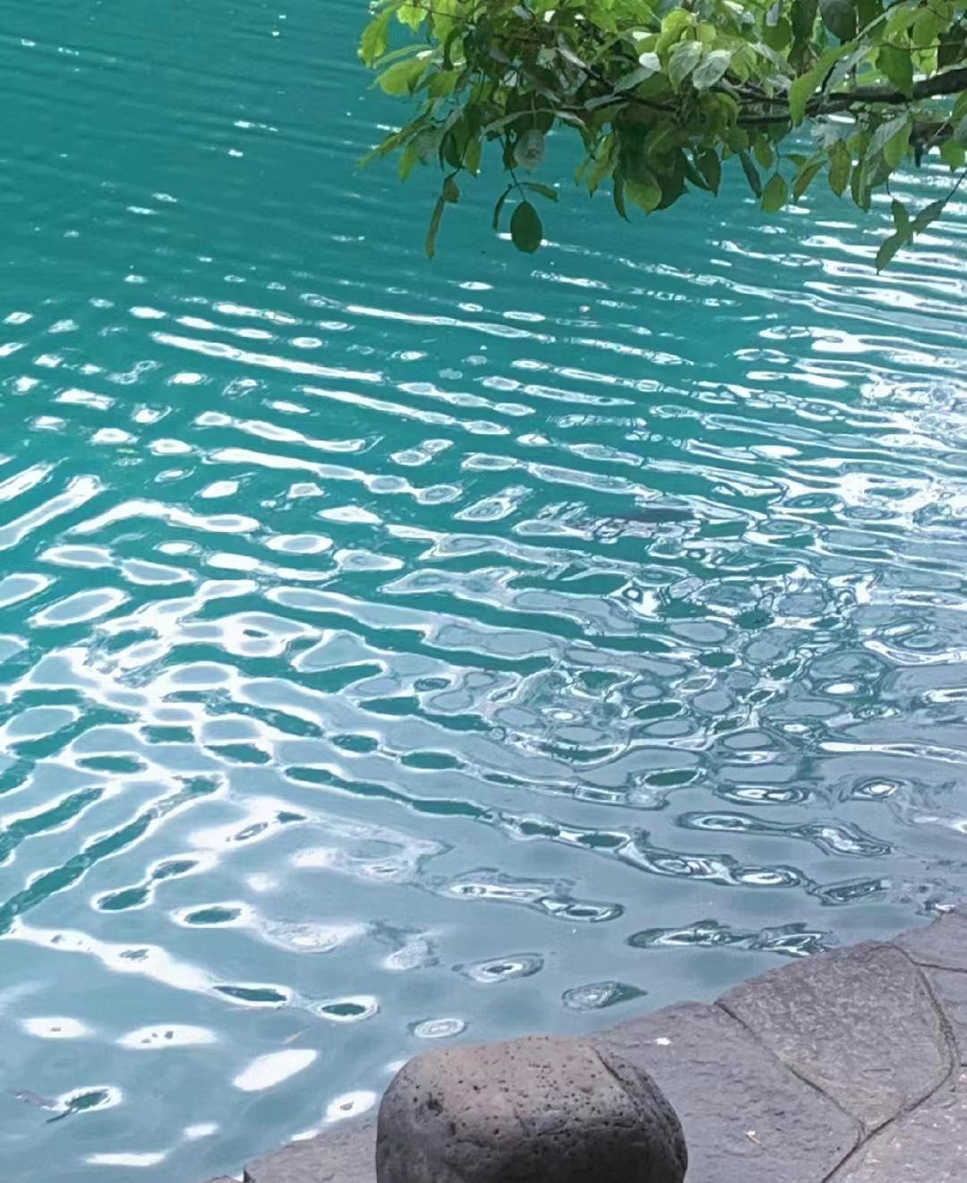 旅游哪里容易交智商税,洛阳旅游智商税怎么交