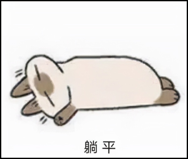 lol免费改名活动id推荐,lol免费改名活动请输入合法id