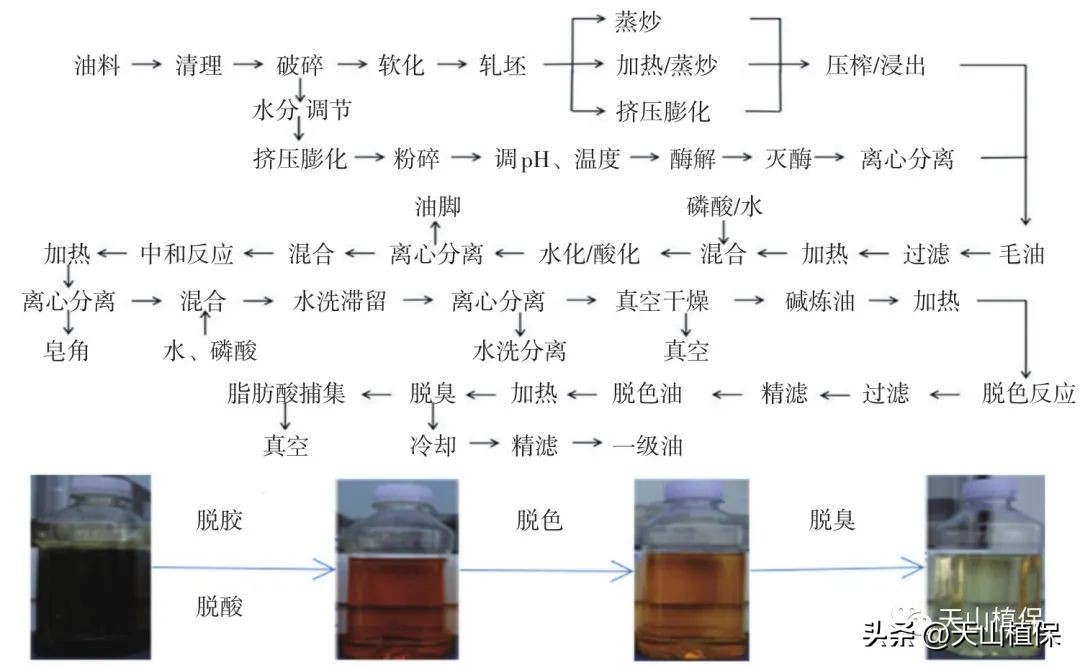 大豆全产业加工研究进展详情,大豆加工什么最有前途