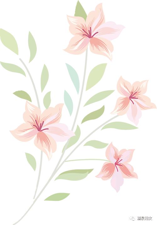 【激扬家国情奋斗新征程】淄博市最美家庭展播——绿色家庭篇