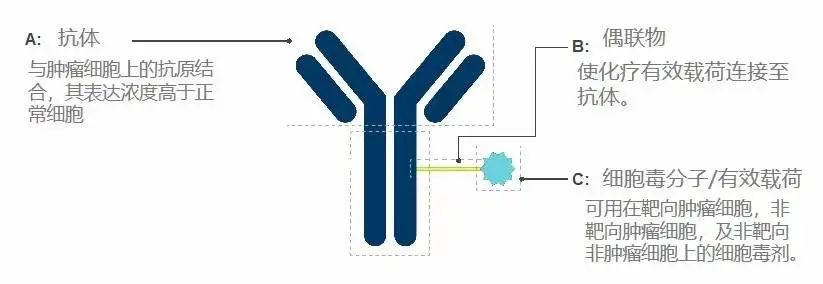 多款新型药物重拳出击，有效控制胃癌疾病进展