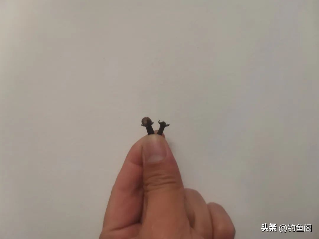 最好用野钓的中药酒配方,浅谈钓鱼中药酒的泡制