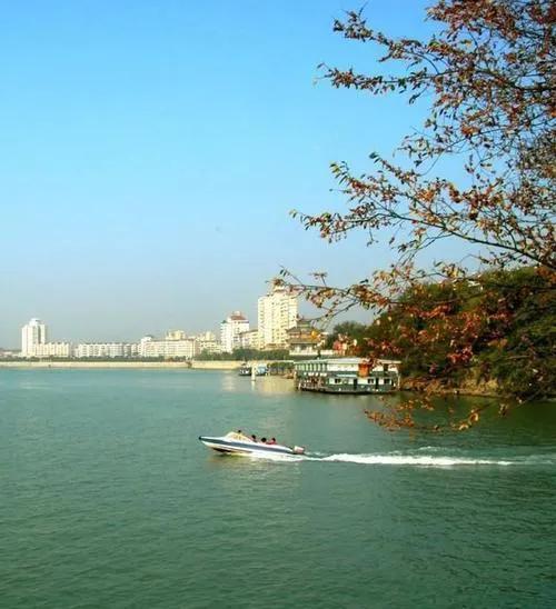 瀹ｅ煄璁板繂,瀹ｅ煄璁板繂瀹屾暣鍥為【