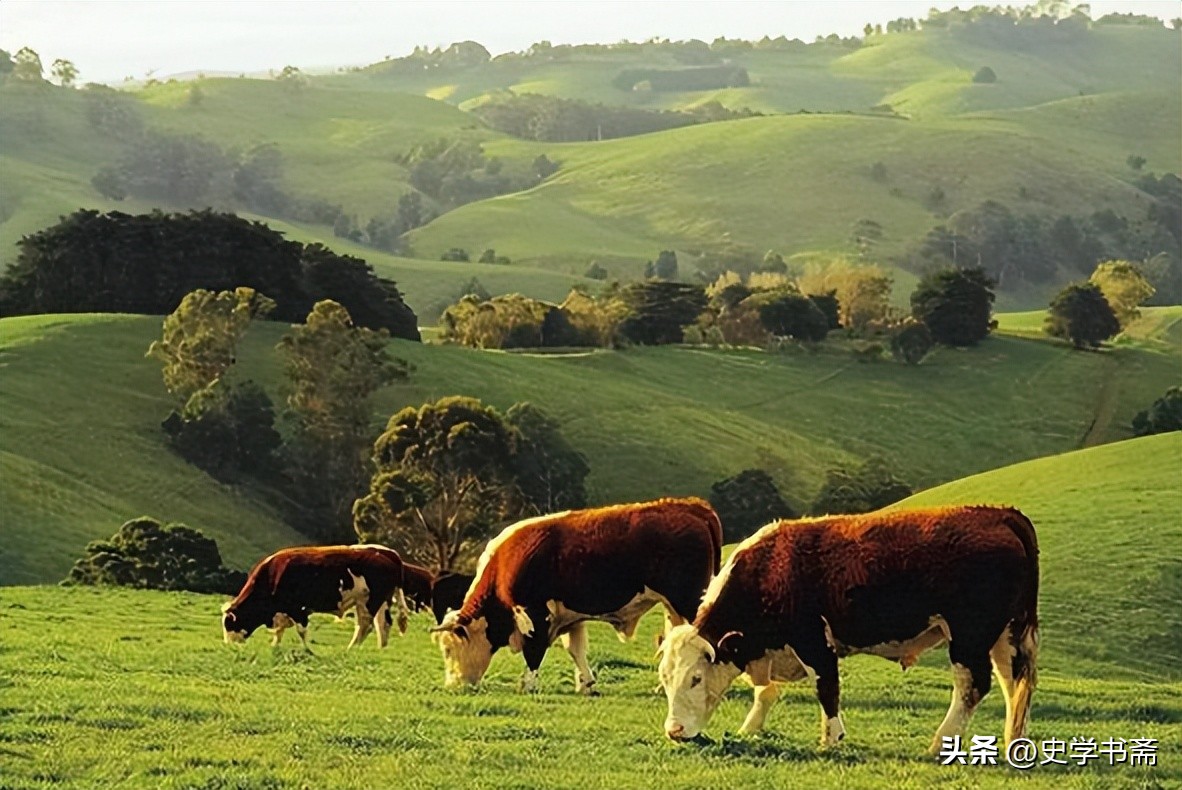 中国进口牛肉量开始呈爆发性增长,中国最新的牛肉进口价格