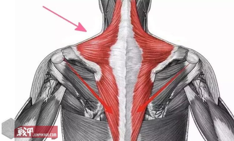 舒适轻薄,功能全面——PewTactical复刻SCARABSC10背心简评