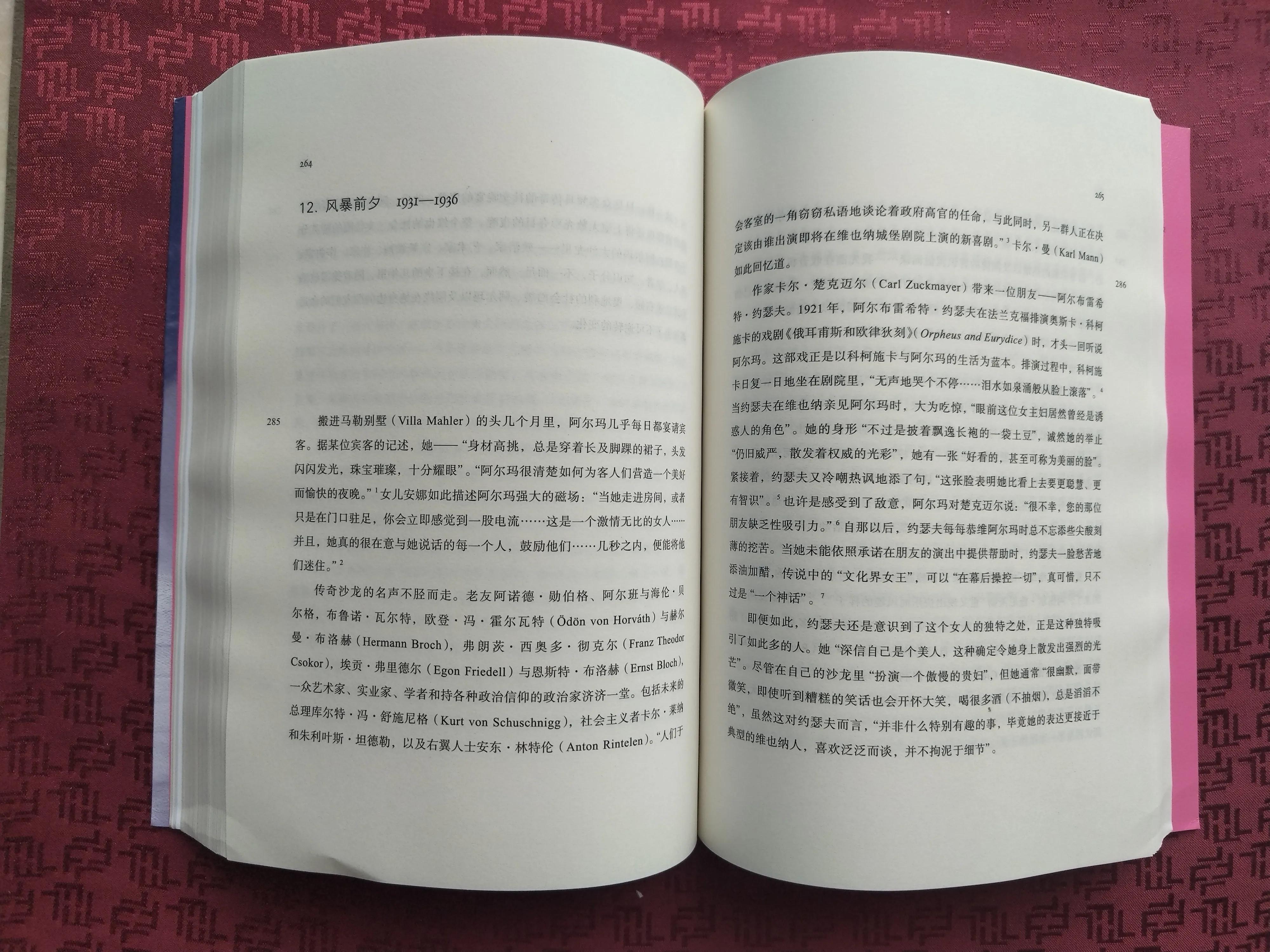 阿尔玛.马勒的一生：一个被历史遗忘的女性音乐家的传奇故事