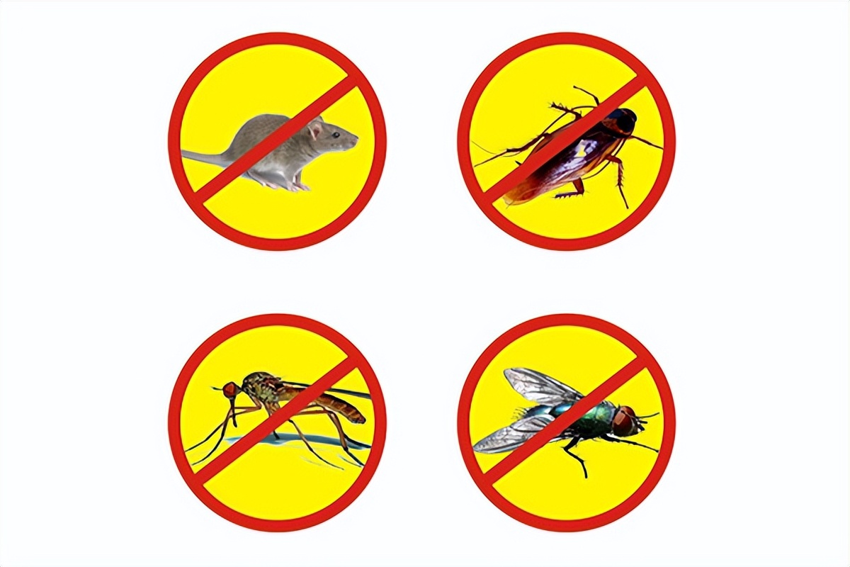 这些除四害知识你知道吗,四害消杀防治标准是什么