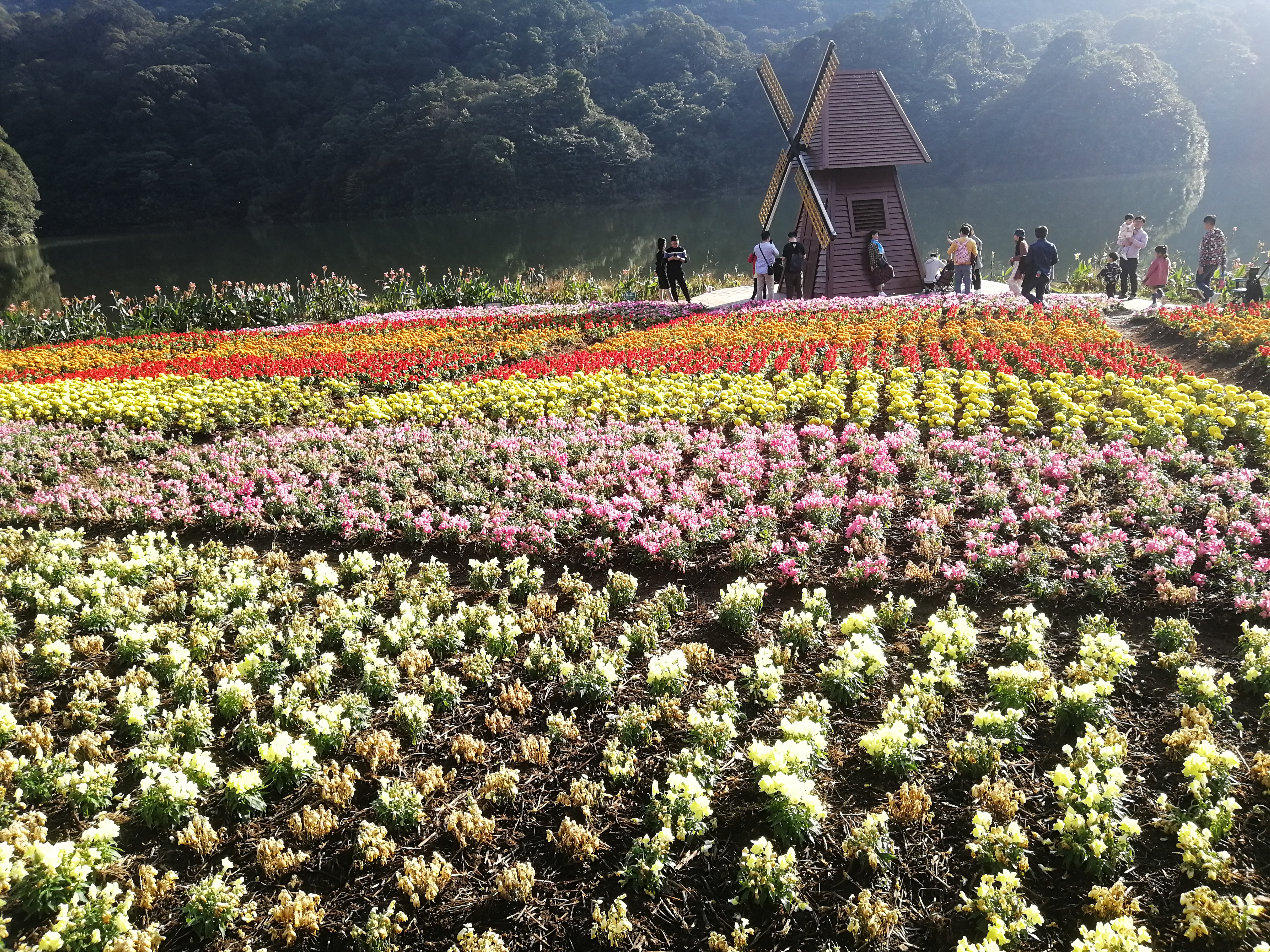 石门森林公园樱花谷交通线路,从化石门公园枫叶