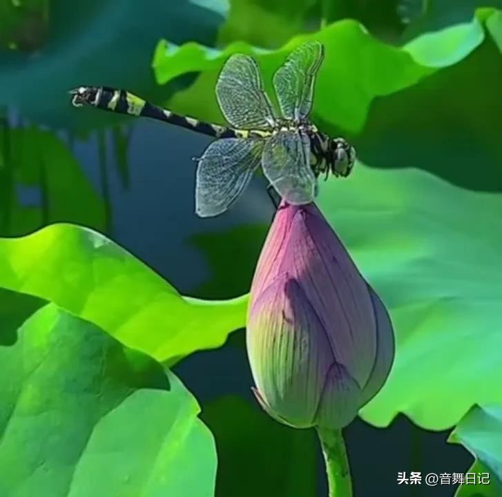 做自己不喜欢的工作才是最累的,每天做自己不感兴趣的工作好累