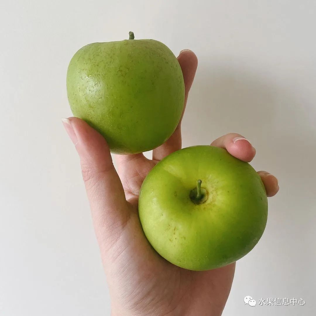 牛奶枣大青枣,牛奶枣和大青枣哪种好吃