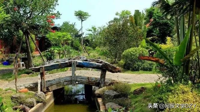 新聊斋故事大全完整版,新聊斋故事