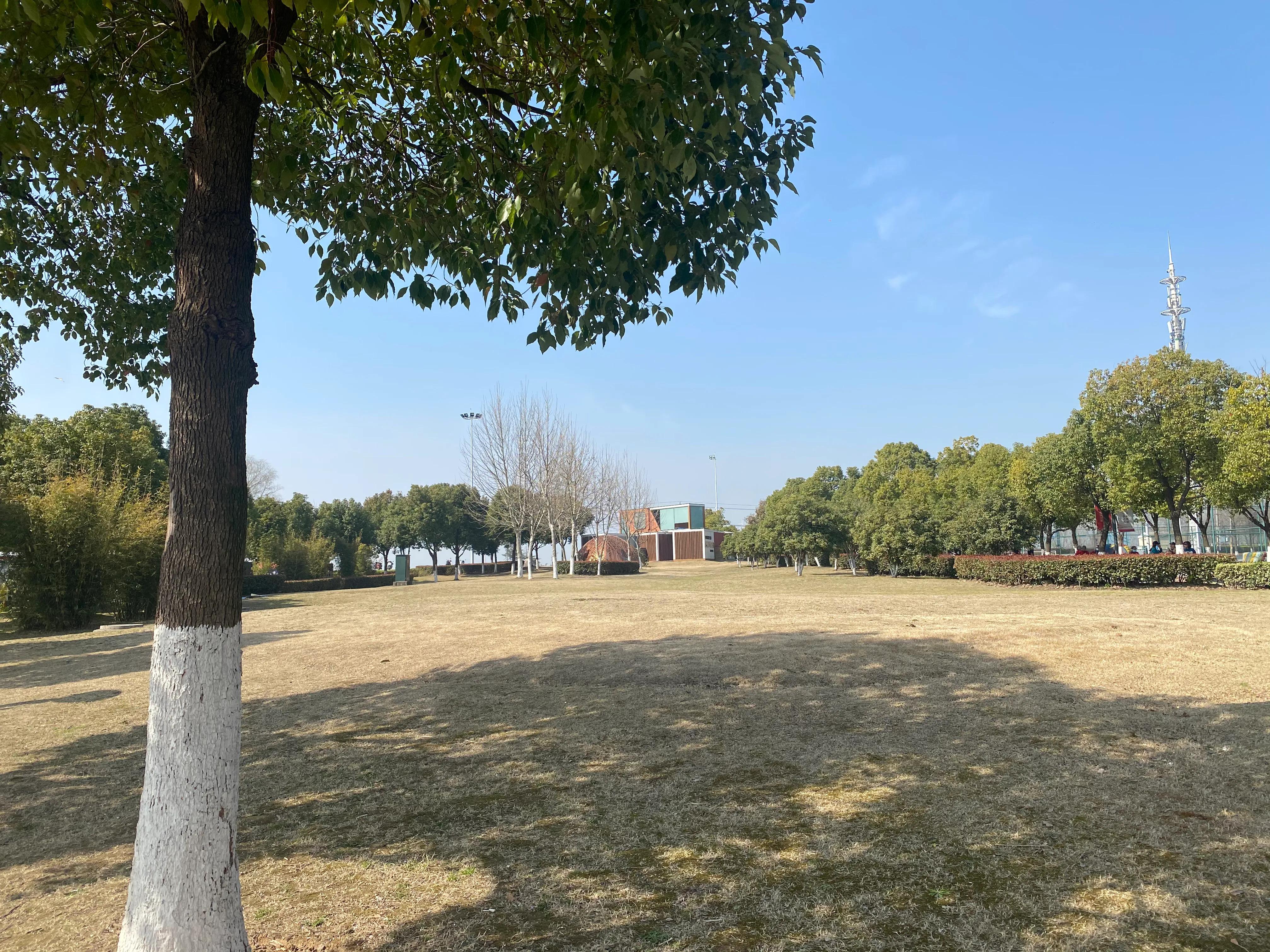 南京人眼中的南京是什么样,江苏人眼中徐州人