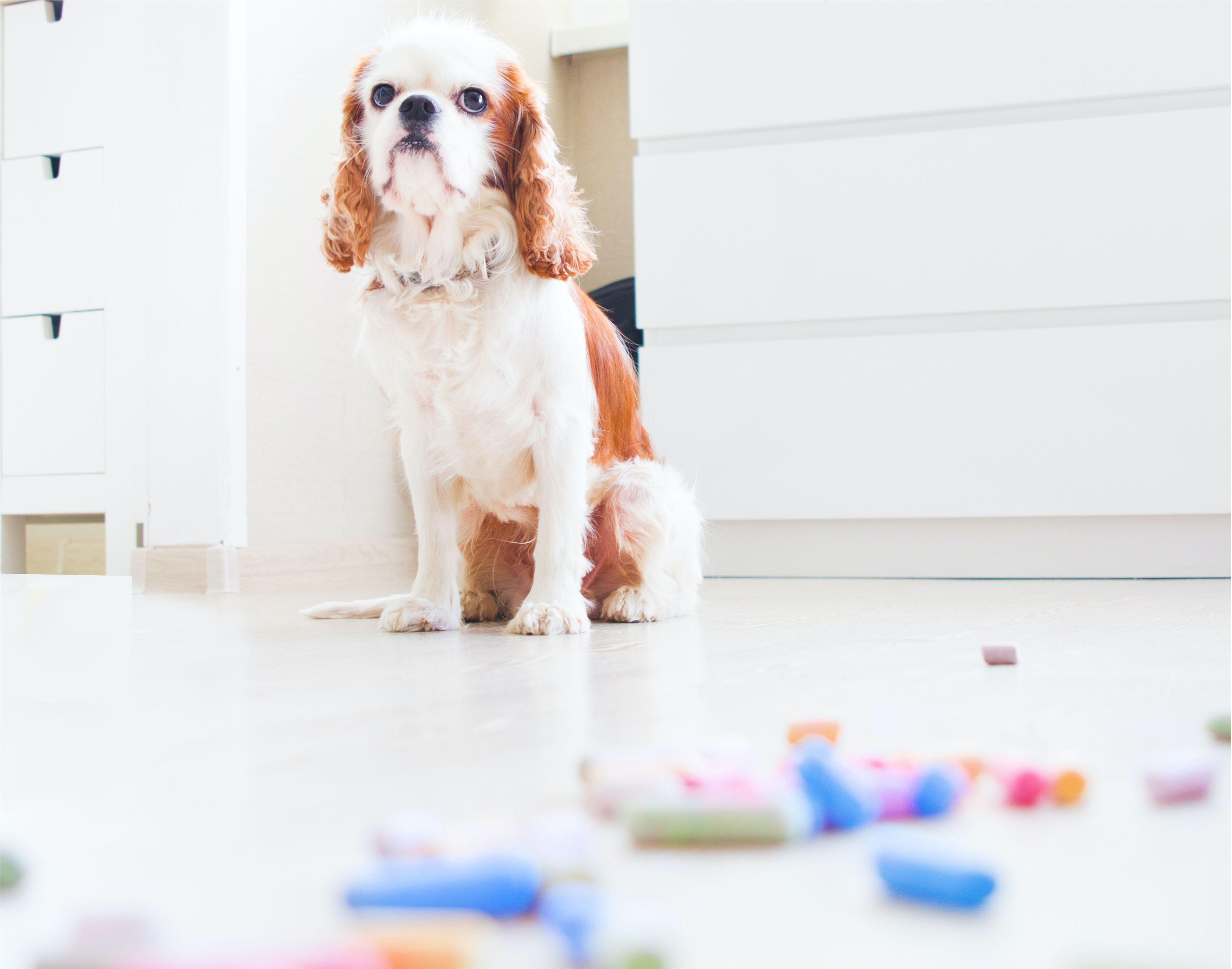 跨境贸易是怎么挣钱的,跨境贸易生意难的本质