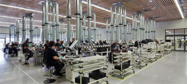 温州一代鞋王,温州一代鞋王完整版