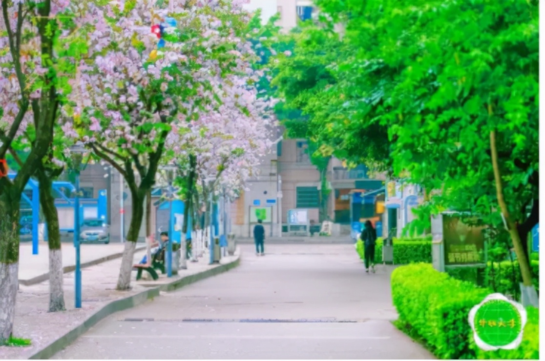 广州大学城推荐大学,广州大学城风景最好的学校