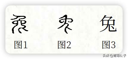 一只蓝色兔子是什么品种,一只蓝兔子