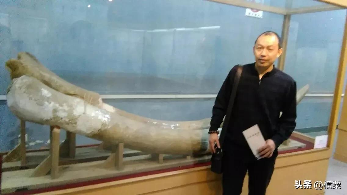 珠海唐家湾有什么好玩的地方,珠海唐家湾有什么