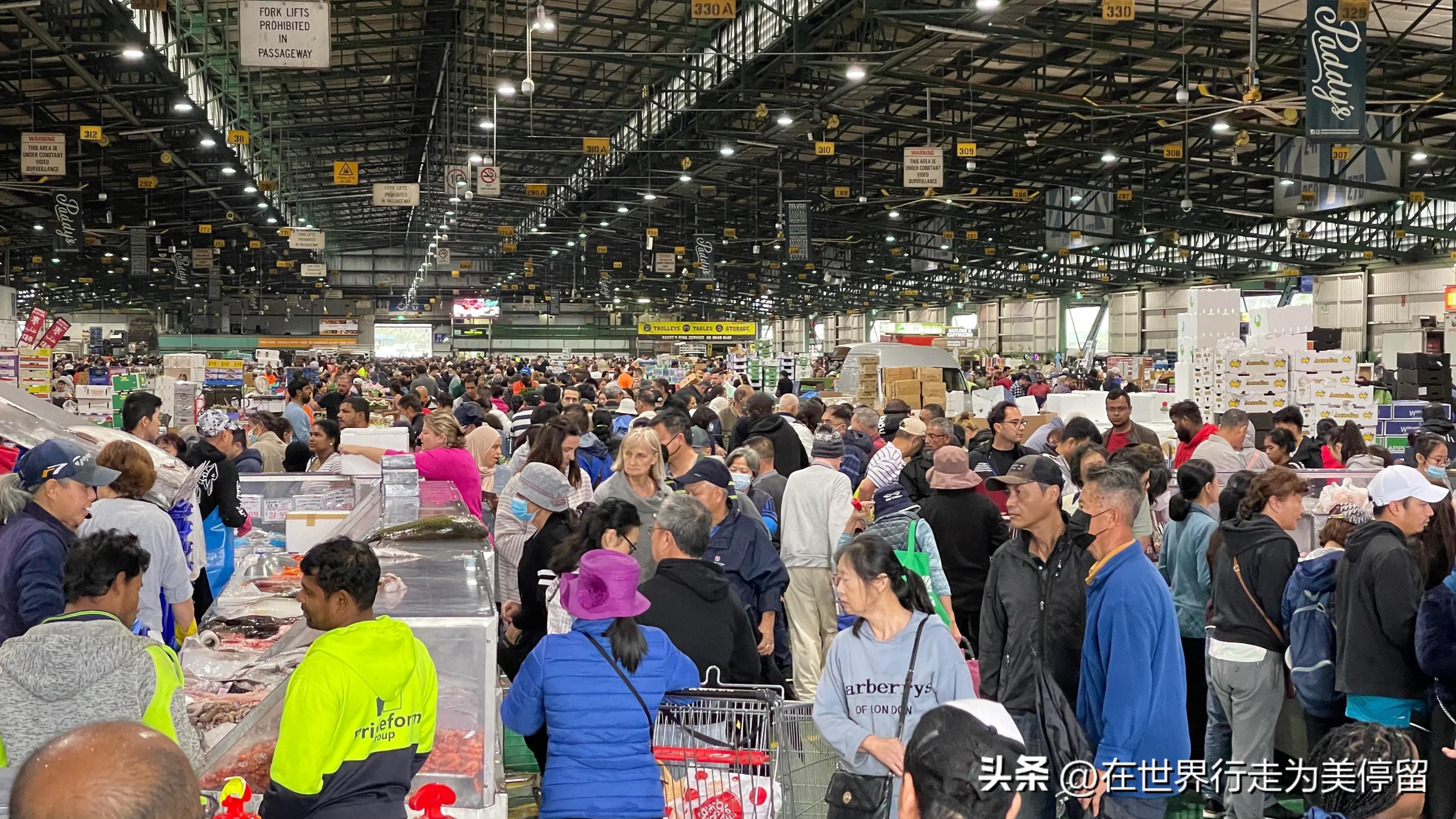 悉尼最大的蔬菜批发市场,悉尼蔬菜市场