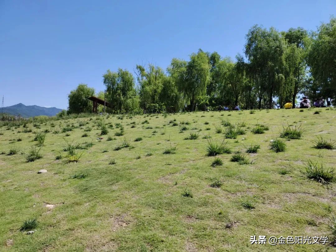 可爱的小蝌蚪找妈妈,可爱的蝌蚪图片