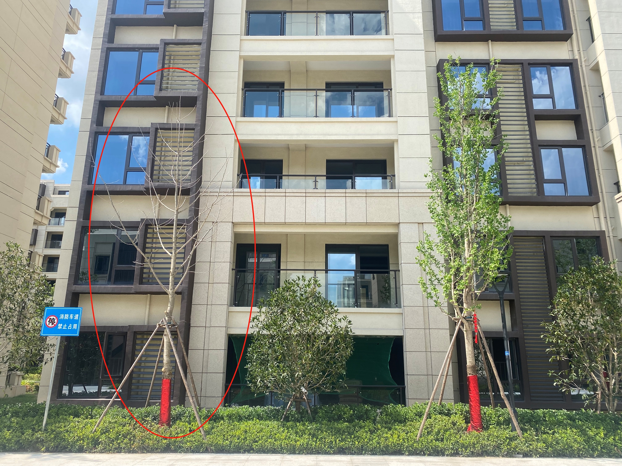 验房时看得很仔细都是什么心理,验房很多小问题还要签字吗