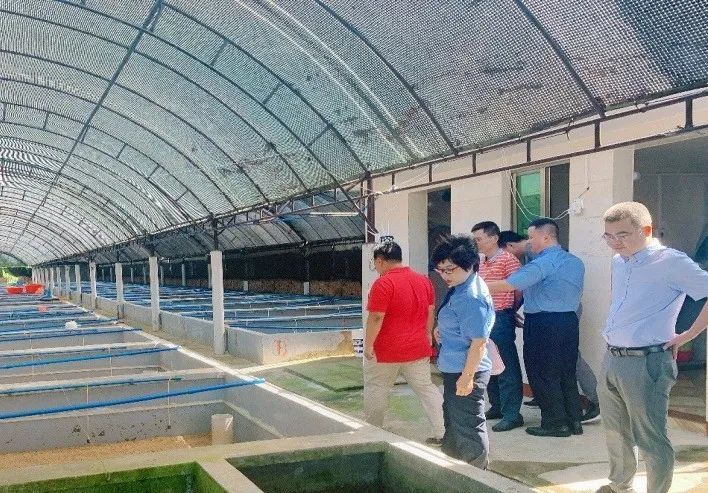 湿地保护公益诉讼典型案例,最高检河道治理公益诉讼典型案例