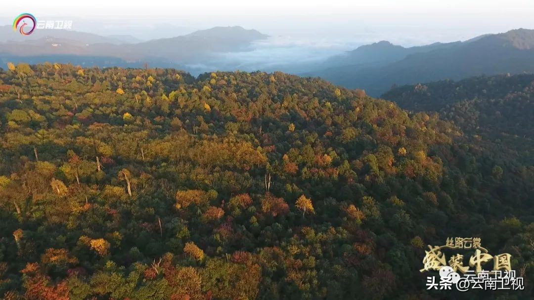 穿在身上的乌蒙磅礴｜《丝路云裳盛装中国》云南卫视今晚21:06播出