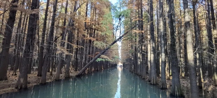 中国旅游短视频开拓者王国平，开创旅游线路短视频订购模式和美学风格及拍摄技巧
