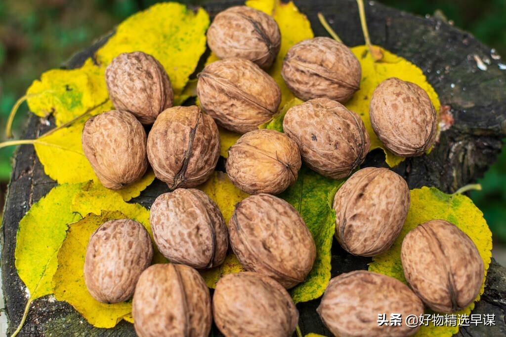 核桃树上的洋辣子虫怎么治,核桃树上的洋辣子如何防治