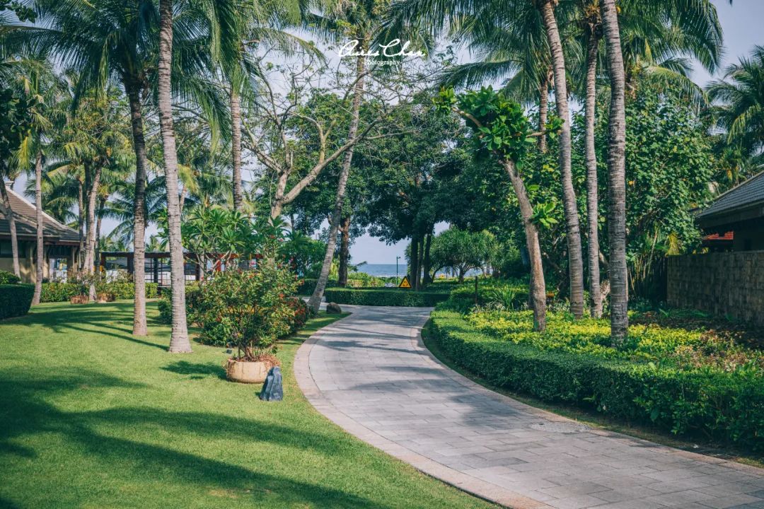 丽思卡尔顿奢华之旅,丽思卡尔顿度假村