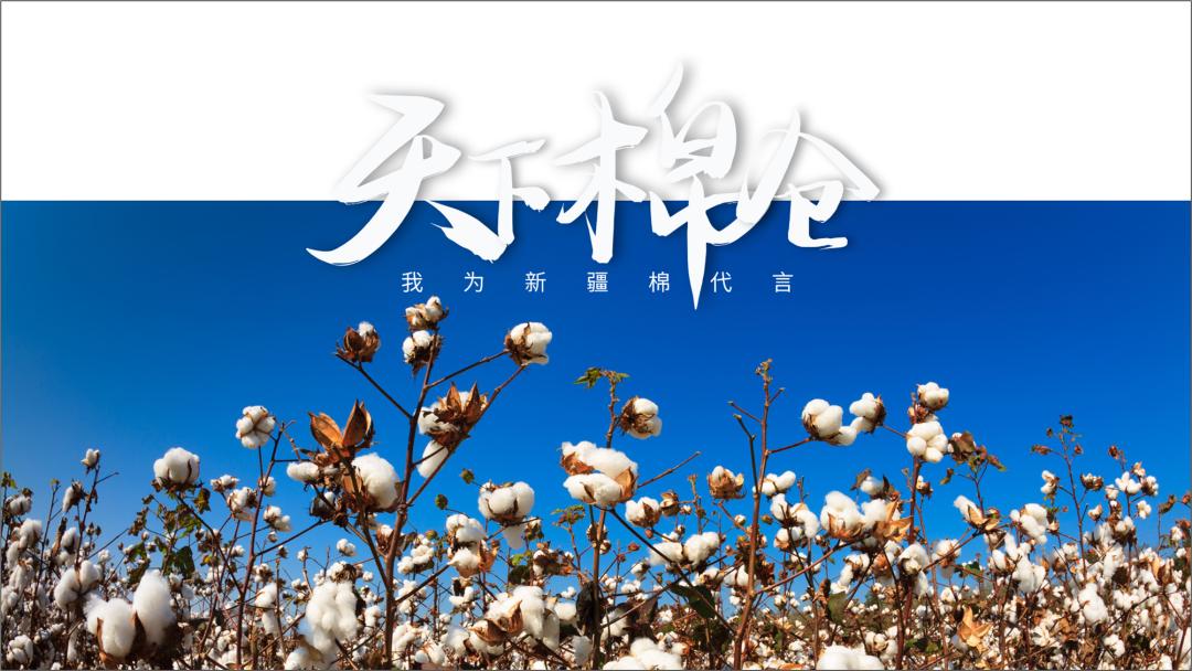 ppt做一个好一点的背景,ppt背景不乱且高级