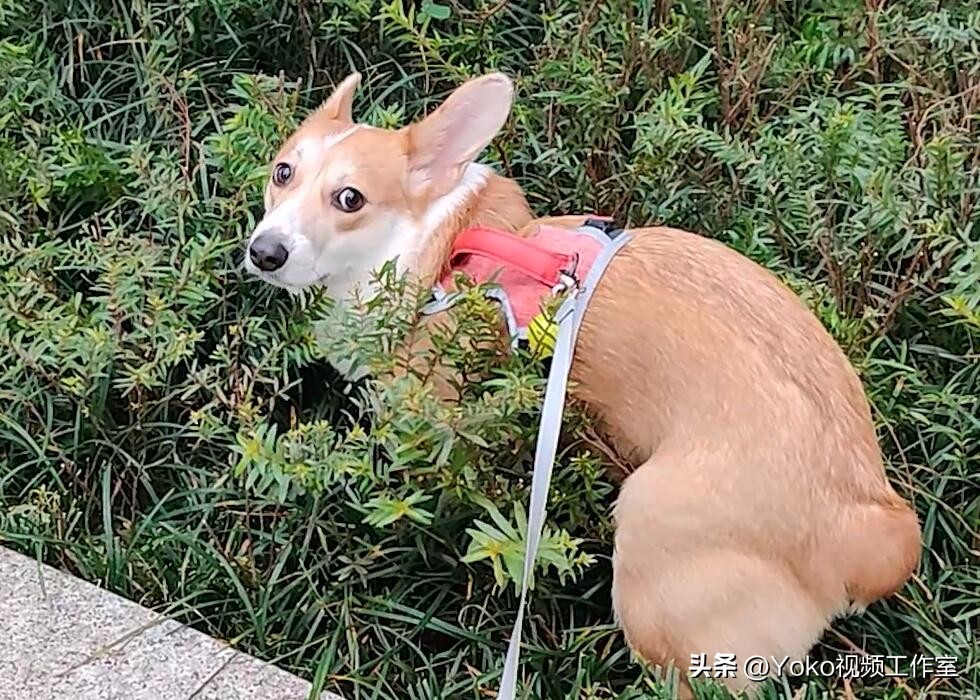 想买电脑父母不让怎么办,实体店买电脑有多坑