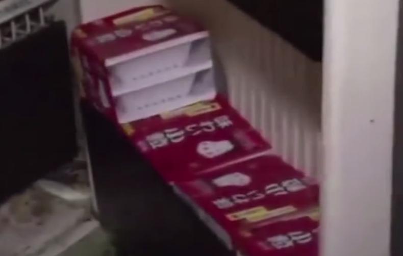 日本骨灰级啃老,日本啃老一族