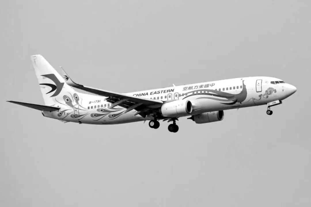 昨夜今晨发生了什么？|YiMagazine