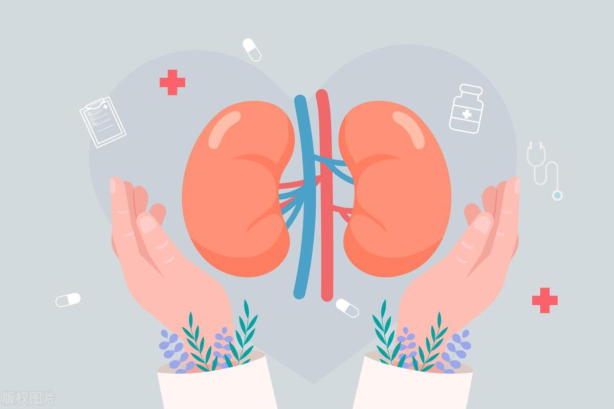 治疗尿频尿急尿不尽的中药有哪些,治疗尿频尿急尿不尽的西药