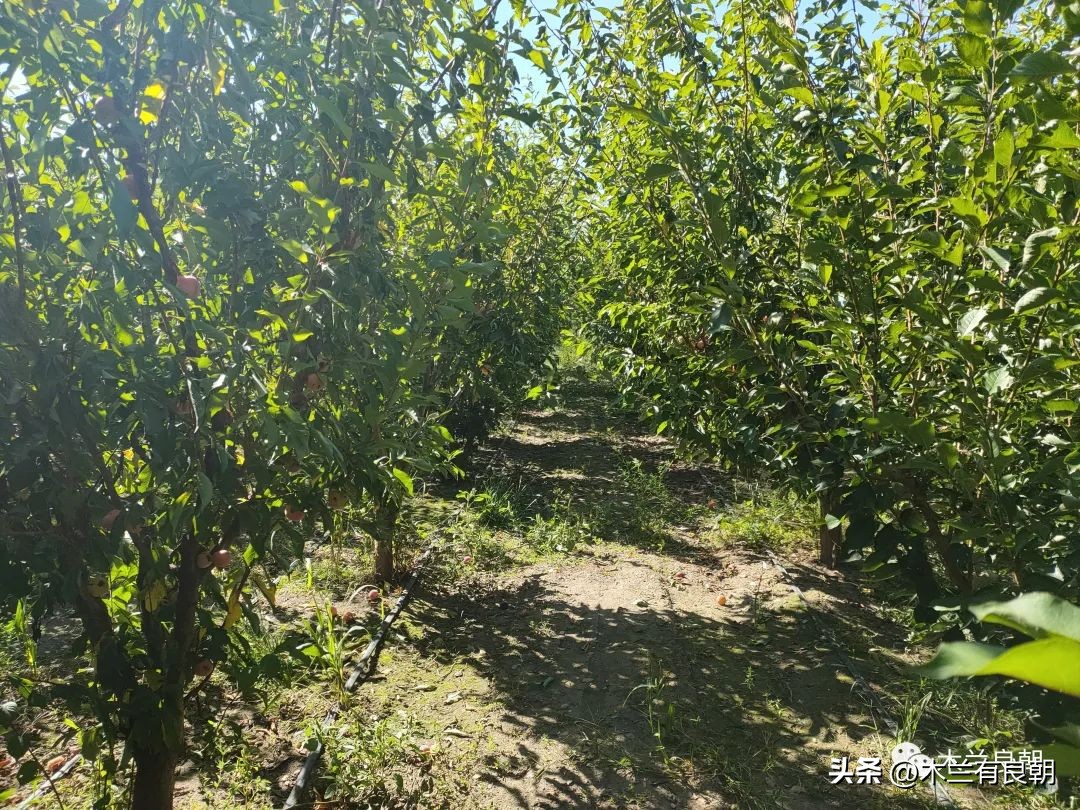 疫情虽然可怕但是我们永不畏惧,疫情依然不容小视