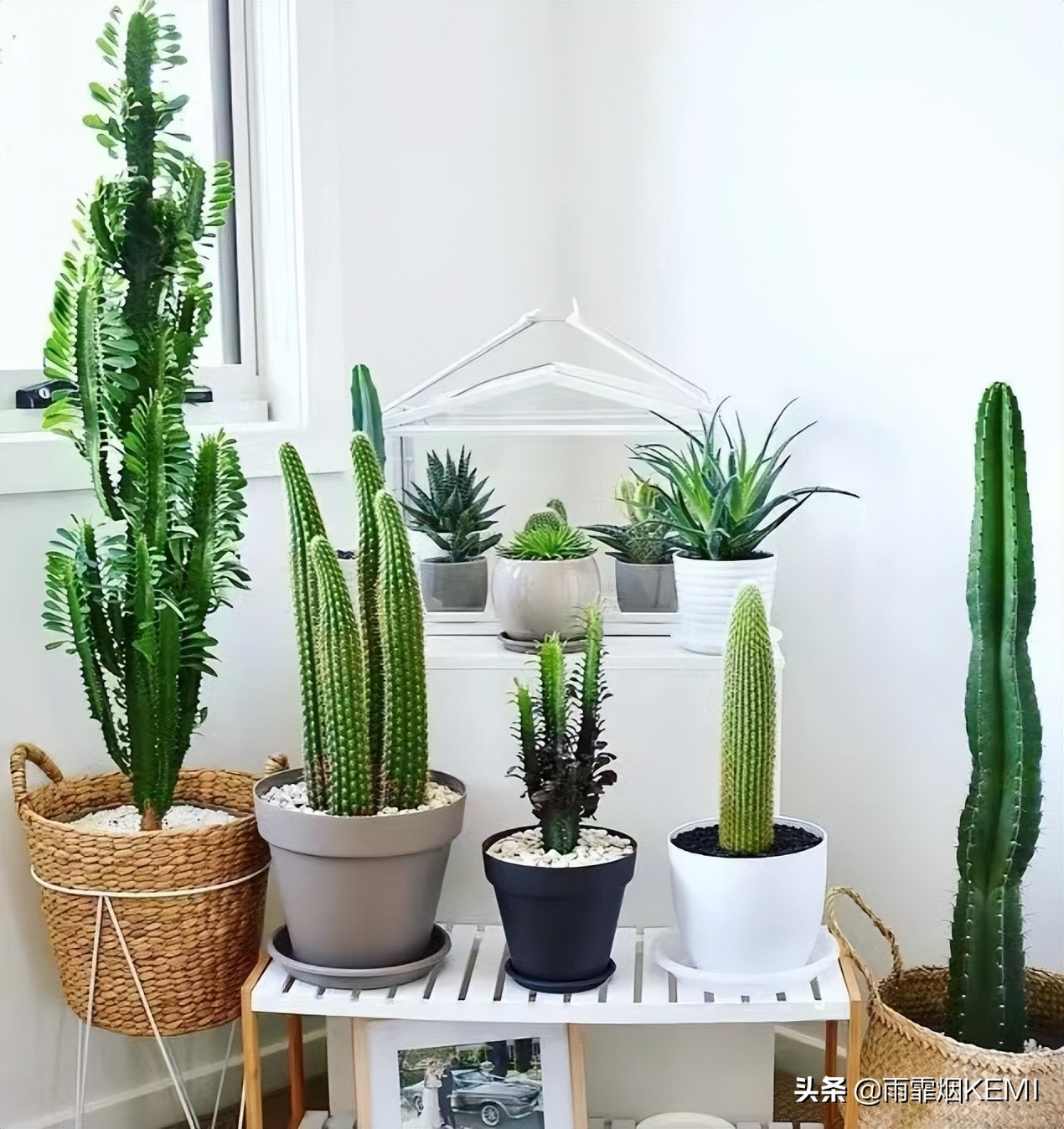 新房装修好后甲醛怎样去除,怎么让家具里的甲醛快速释放出来