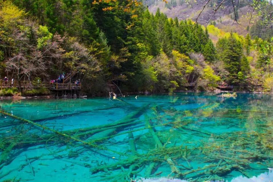 人间仙境九寨沟图片,人间仙境九寨风景图片