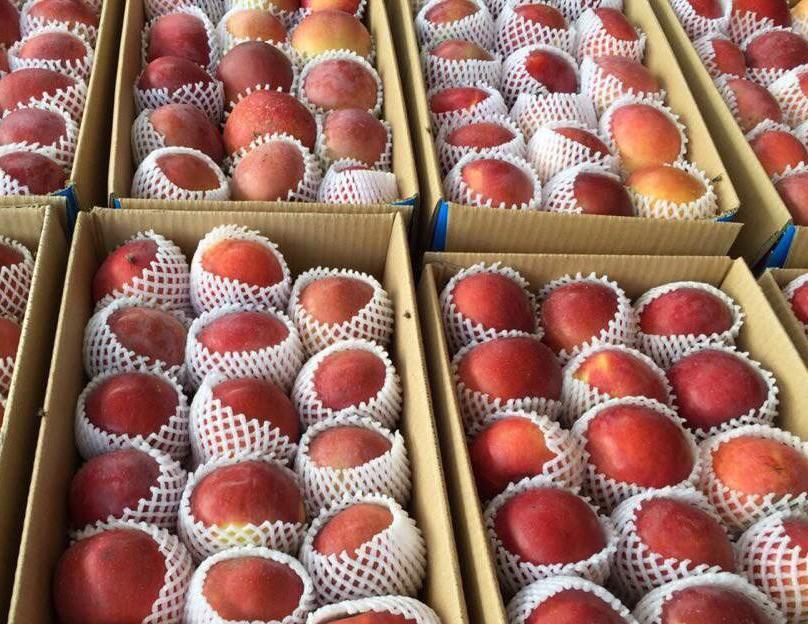 一村一品案例,一村一品精品水果