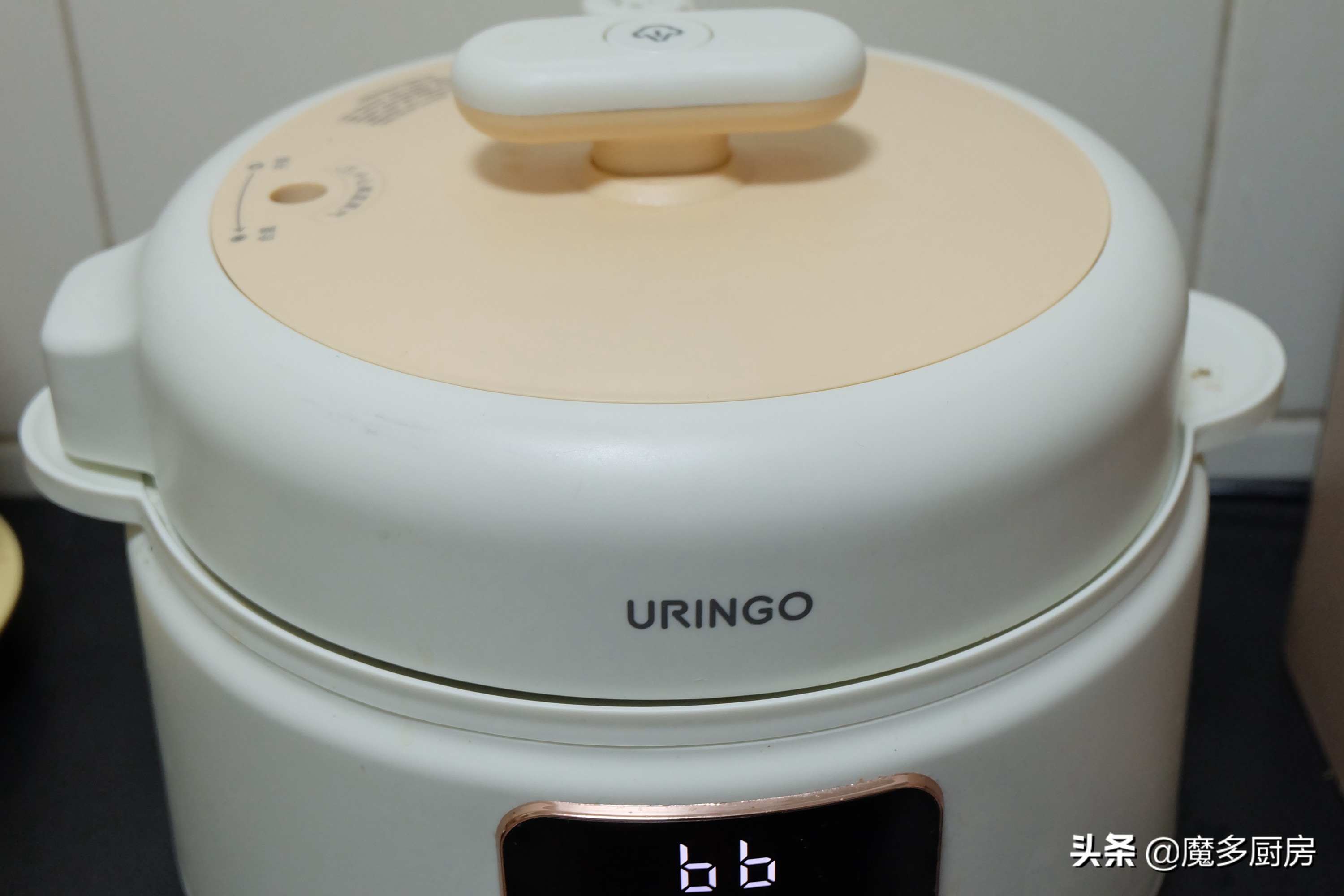 荤素盖饭,小孩盖饭怎么做好吃