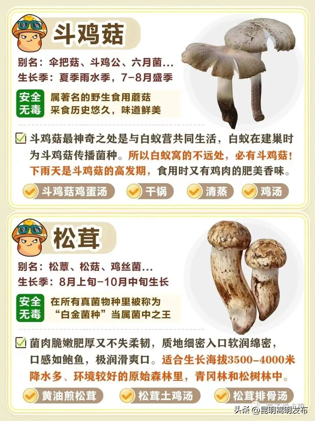 孩子开车撞人去自首,儿子开车撞人最后自首