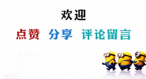 养狗狗的狗粮怎么选购合适,低成本养狗16款平价狗粮推荐