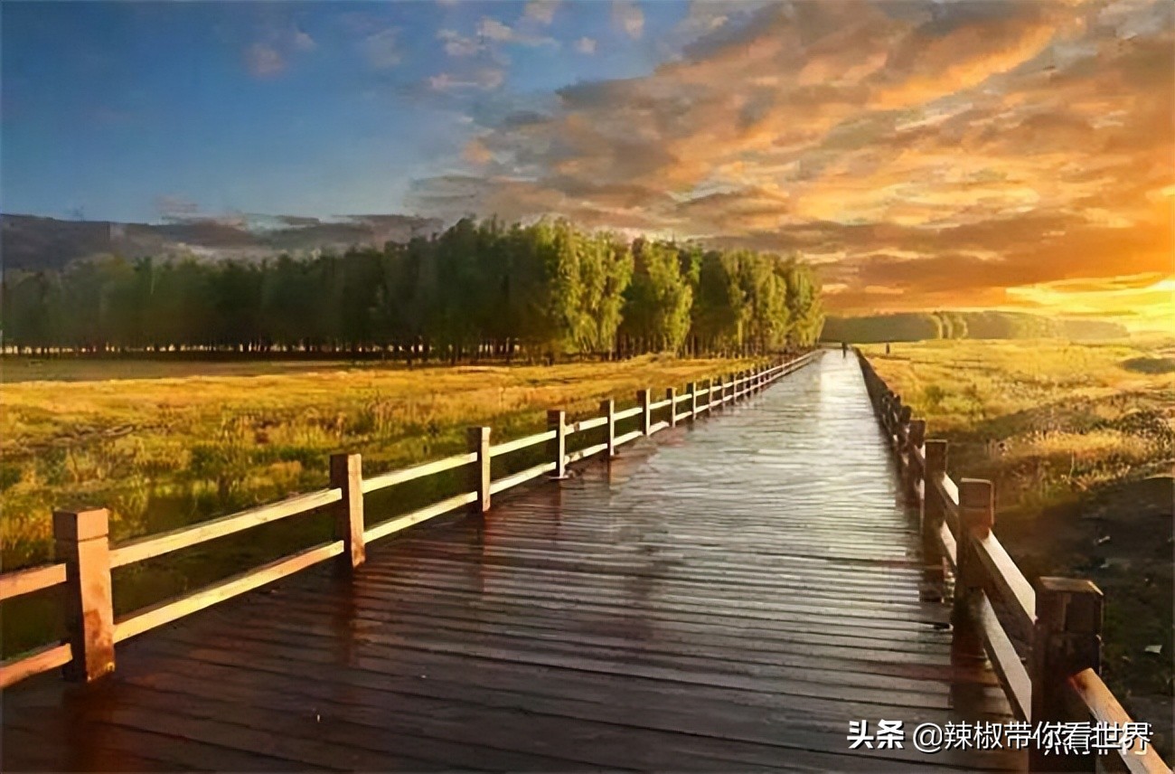 美在黑龙江：走进诗意山水之齐齐哈尔这里是世界大湿地中国鹤家乡