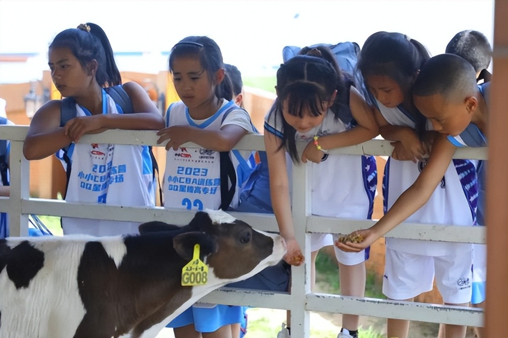 伊利qq星儿童成长奶粉官方旗舰店,伊利儿童qq星成长奶粉