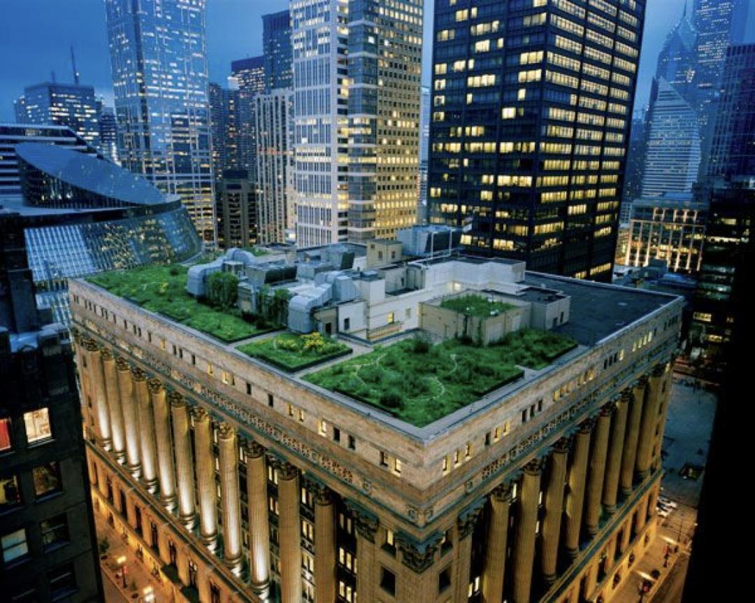 屋顶适合建设哪种绿色屋顶,绿色屋顶建筑