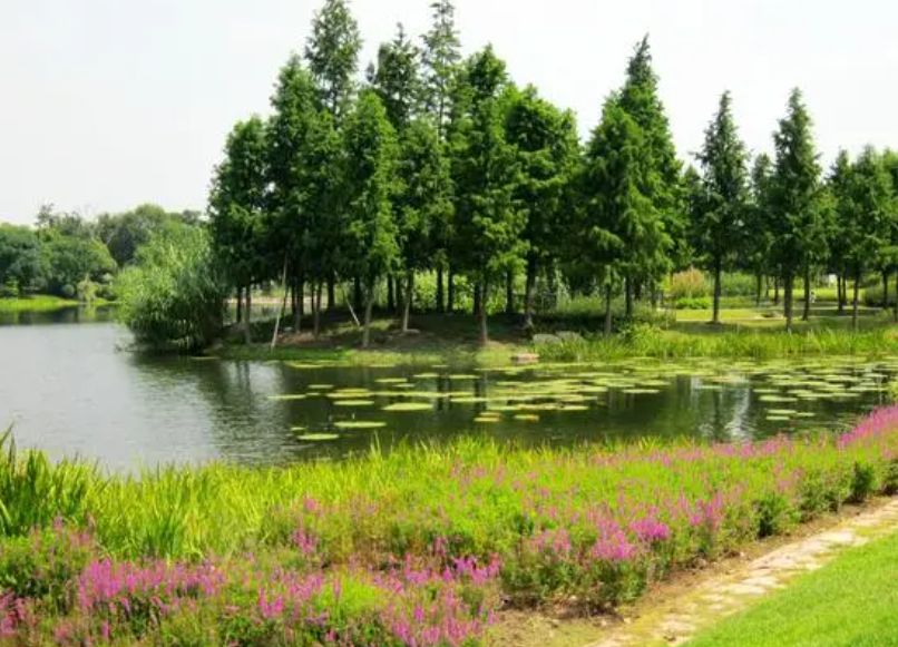 上海辰山植物园的导游讲解,上海辰山植物园景点攻略图